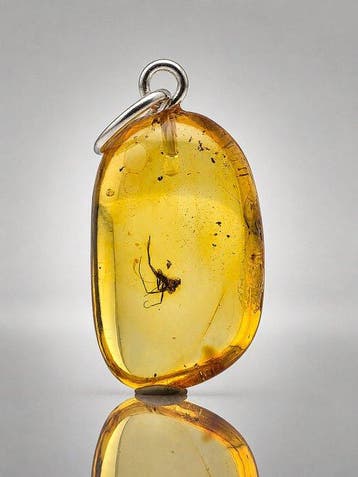 Museumkwaliteit Baltisch Amberhanger – Langpootvlieg &