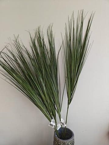 Berengras Toef op draad 88 cm