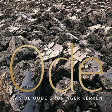 Ode aan de oude Groninger kerken 9789050481991, Verzenden, Vos Marjoleine de