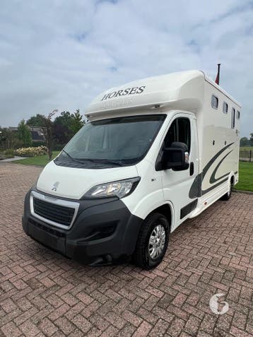 Prachtige Peugeot Equitrek! 2019! 28.000KM!, Dieren en Toebehoren, Ophalen, Zo goed als nieuw, Polyester, 2-paards trailer