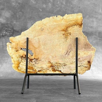 Prachtige snede van versteend hout op een op maat gemaakte