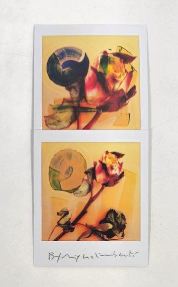 Maurizio Galimberti (1956–) - BiFlowers - 11574, Antiek en Kunst, Kunst | Schilderijen | Modern
