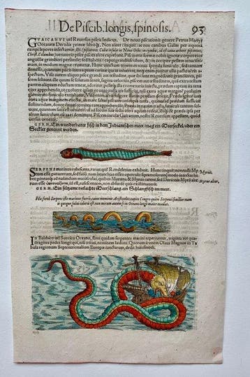 Conrad Gesner - Historia Animalium - 1558