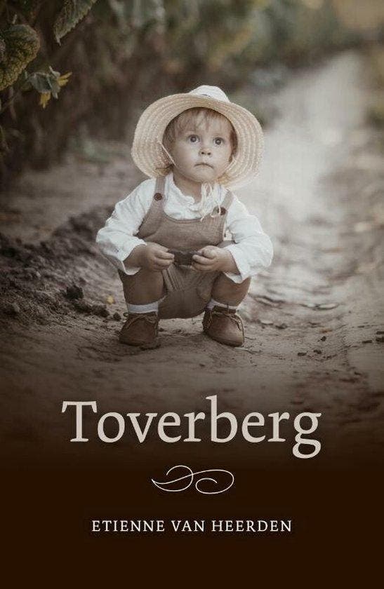 Toverberg 9789492600547 Etienne van Heerden, Boeken, Literatuur, Gelezen, Verzenden