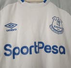 Everton - Championnat dAngleterre de Football - 2018 -, Nieuw