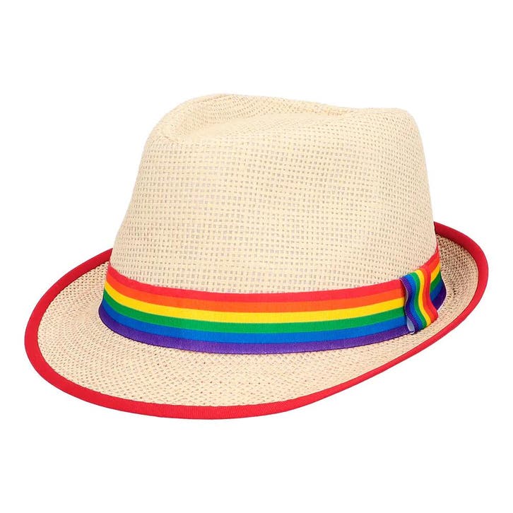 Hoed Regenboog Pride, Hobby & Loisirs créatifs, Articles de fête, Envoi