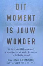 Dit moment is jouw wonder - David Hoffmeister - 978907840504, Verzenden, Nieuw