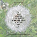 Jij was hier, en nu? 9789491061004 Ine van Gisbergen, Boeken, Verzenden, Zo goed als nieuw, Ine van Gisbergen