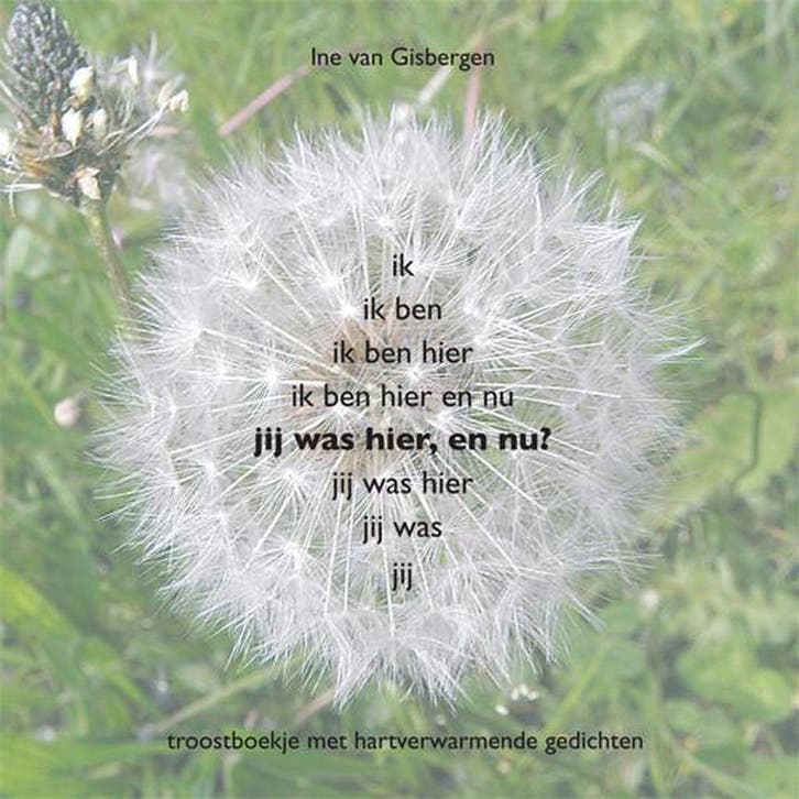 Jij was hier, en nu? 9789491061004 Ine van Gisbergen, Boeken, Gedichten en Poëzie, Zo goed als nieuw, Verzenden