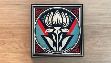 Shepard Fairey (OBEY) (1970) - Wonder