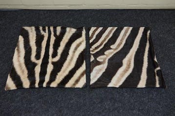 real zebra skin covers - Kussen (2)