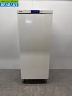 Liebherr Réfrigérateur 583 litres 230V Horeca, Verzenden