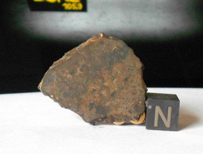 Northwest Africa 13272 - Meteoriet, achondriet-ongegroepeerd, Verzamelen, Mineralen en Fossielen