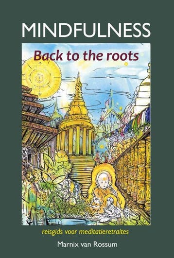 Mindfulness:back to the roots 9789085484127, Verzenden, Zo goed als nieuw, Marnix van Rossum