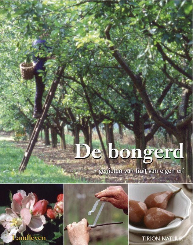 De bongerd 9789052106472 A. Waninge, Boeken, Hobby en Vrije tijd, Gelezen, Verzenden