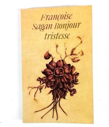 Bonjour tristesse 9789022307328 Françoise Sagan, Verzenden, Françoise Sagan
