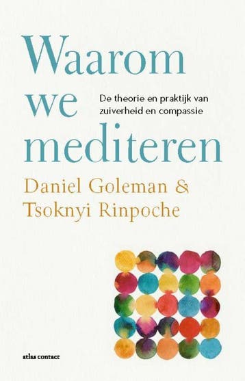 Waarom we mediteren 9789045045115 Daniël Goleman, Boeken, Verzenden, Zo goed als nieuw, Daniël Goleman