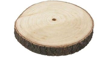Boomstamschijf Paulonia Apollonia ca. 28-30 cm, Nieuw