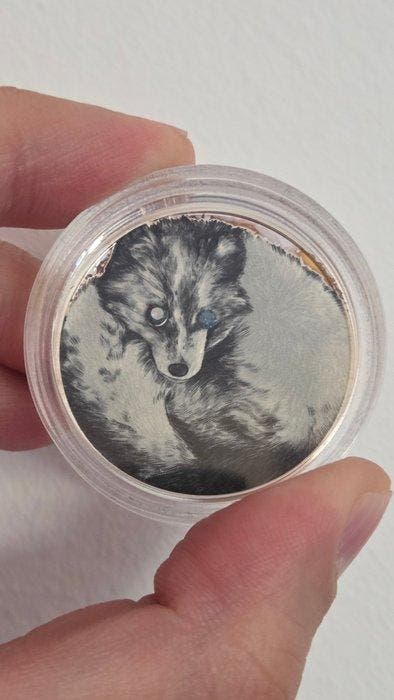 Ghana. 5 Cedis 2020, Timbres & Monnaies, Monnaies | Europe | Monnaies non-euro