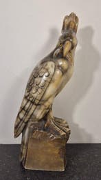 sculptuur, Pappagallo - 37 cm - Albast