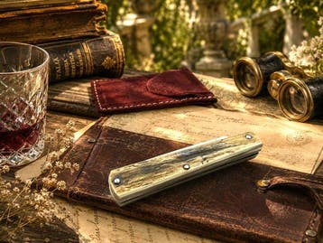 Fraraccio Coltello Lo Sfilato 19 cm Corno Antico Lama INOX 8