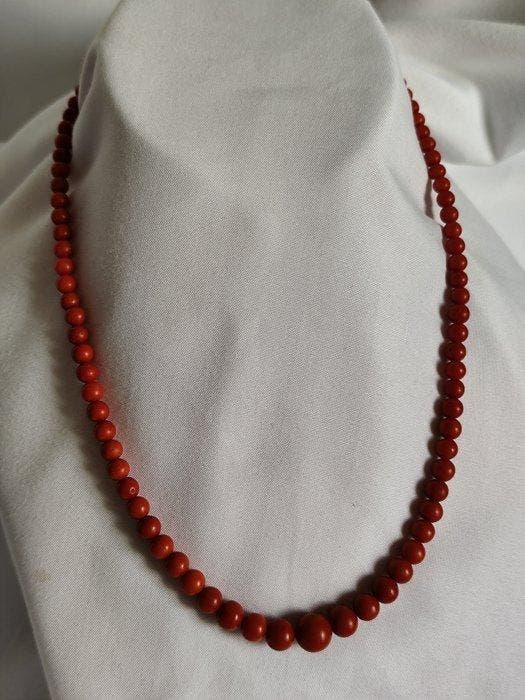 Bloedkoraal Koraal - corallium rubrum (Zonder minimumprijs), Antiek en Kunst, Curiosa en Brocante