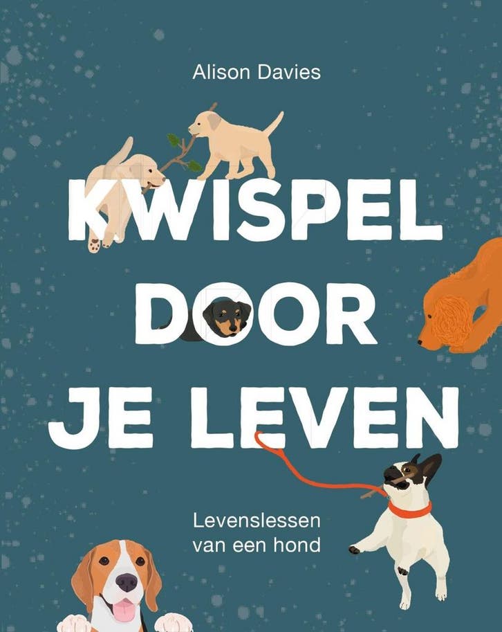 Kwispel door je leven (9789000371037, Alison Davies), Livres, Livres Autre, Envoi