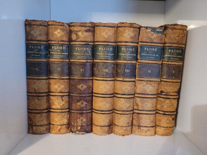 Louis Van Houtte - Flore des serres et des jardins de, Antiquités & Art, Antiquités | Livres & Manuscrits