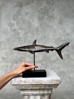 sculptuur, NO RESERVE PRICE - Bronze Hammerhead Shark on a