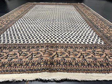 Sarough Mir - Tapis - 295 cm - 195 cm