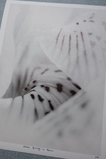 Inna Etuvgi - Where Spring is Born - Catawiki Edition