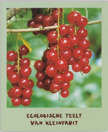 Ecologische teelt van kleinfruit 9789080062627 Guy Buysse, Verzenden, Guy Buysse