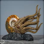 Natuurlijke ammoniet verbonden met meesterlijke Kunst-, Verzamelen
