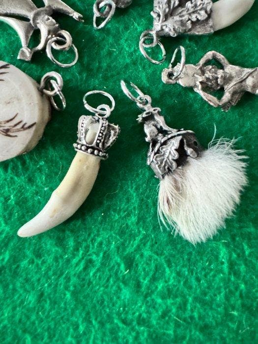 Trophée de chasse, Antiquités & Art, Curiosités & Brocante