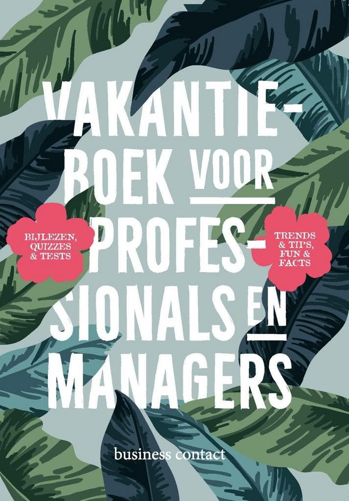 Vakantieboek voor professionals en managers (9789047015161), Livres, Livres scolaires, Envoi