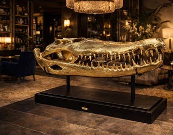 Beeld, XXL -105cm- Bronze Crocodile Skull + Base - 57 cm -