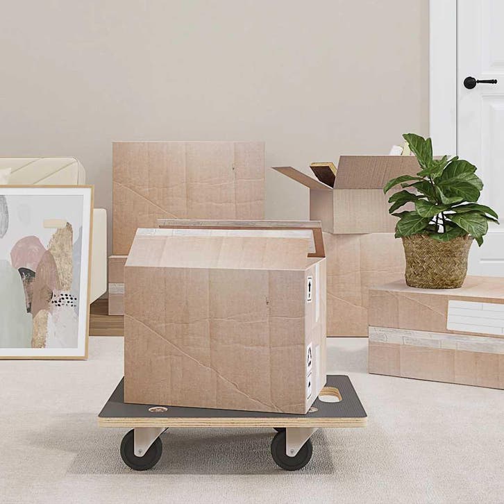 vidaXL Meubelhondjes 2 st rechthoekig 250 kg 50x35x11,5 cm, Articles professionnels, Stock & Retail | Emballage & Expédition, Envoi