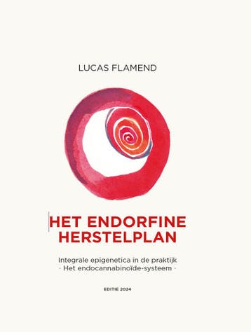 Het endorfine herstelplan 9789082922134 Lucas Flamend, Verzenden, Lucas Flamend