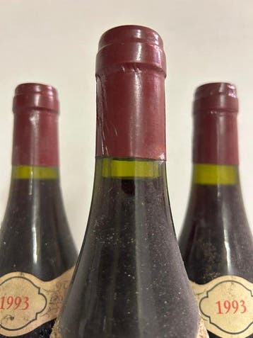 1993 Domaine Michel Gay Les Serpentières - Savigny lès