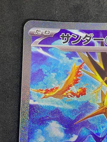 Pokémon - 1 Card - Zapdos #204/165 SAR Foil, Full art -