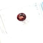 Zonder minimumprijs Rood Robijn - 0.74 ct - International