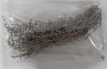 Wilde asparagus Taupe ca. 250 gram, Nieuw