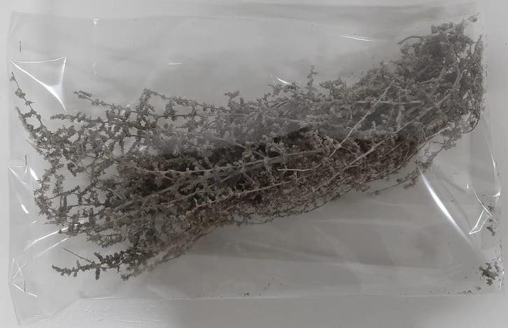 Wilde asparagus Taupe ca. 250 gram, Maison & Meubles, Accessoires pour la Maison | Plantes & Fleurs artificielles