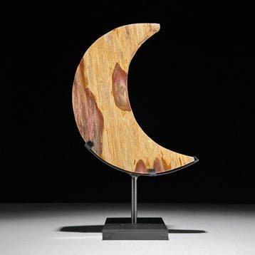 GEEN RESERVEPRIJS - Een mooie zeldzame rode versteend hout, Antiek en Kunst