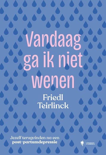 Vandaag ga ik niet wenen 9789493387454 Friedl Teirlinck, Verzenden, Friedl Teirlinck