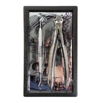 Dental extraction pliers - Hars, Hout, Staal - Kader
