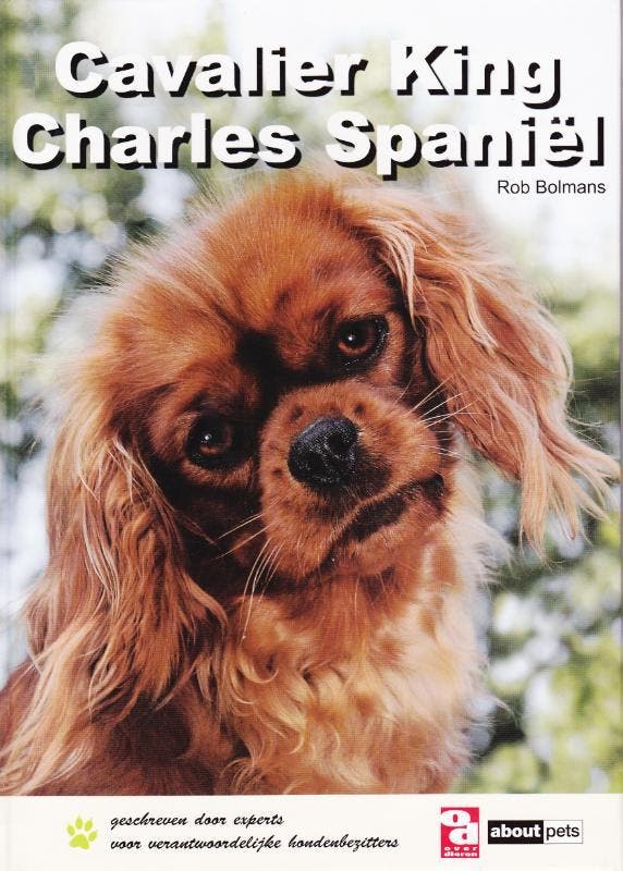 Cavalier King Charles spaniël / Over Dieren 9789058216113, Livres, Loisirs & Temps libre, Envoi