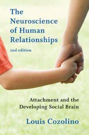 Neuroscience Of Human Relationships 9780393707823, Verzenden, Zo goed als nieuw, Louis Cozolino