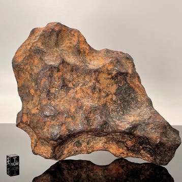 Météorite de Gibeon Météorite de fer - 4.3 kg