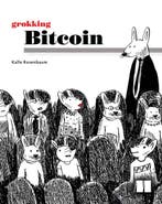Grokking Bitcoin 9781617294648 Kalle Rosenbaum, Verzenden, Kalle Rosenbaum